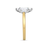 Marquise Trilogy Classic | Oval Sides