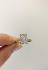 Radiant Cut Solitaire Pavé | Hidden Halo